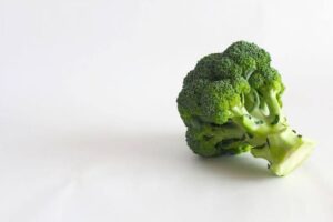 ブロッコリーがカラダ作り中の食事に選ばれている理由についてご紹介！