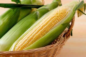 夏に旬なとうもろこしをカラダ作りに活用してみませんか！
