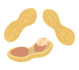 間食にピーナッツをオススメする理由についてご紹介！