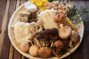 ダイエット中の食生活にきのこ類を取り入れてみませんか！！