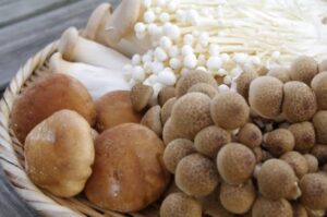 旬なきのこ類はダイエット効果が豊富です！！