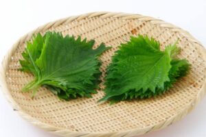 大葉に期待できるダイエット効果や栄養についてご紹介！