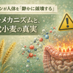 グルテンが人体を「静かに破壊する」分子メカニズムと、現代小麦の真実