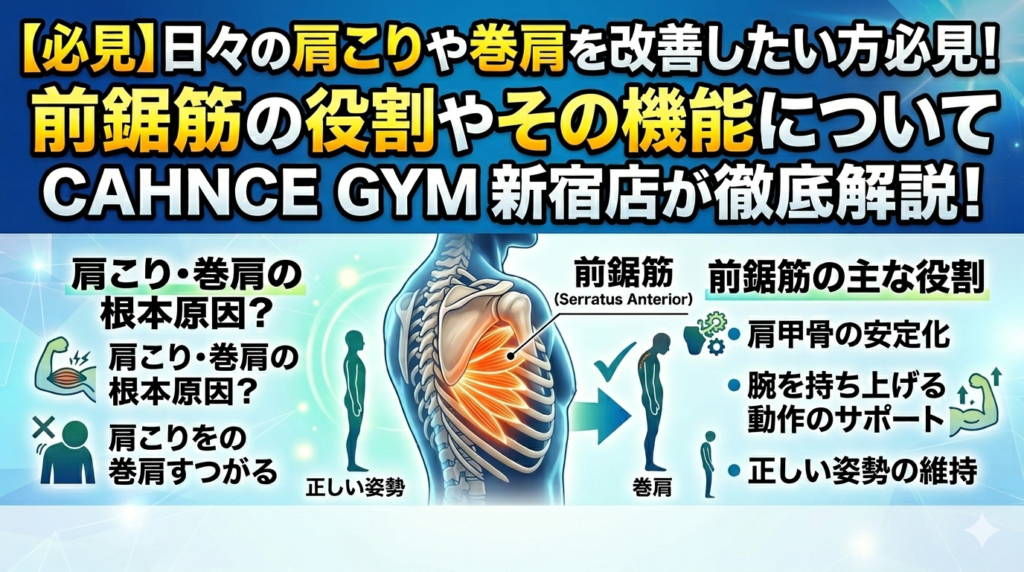 【必見】日々の肩こりや巻肩を改善したい方必見！前鋸筋の役割やその機能についてCAHNCE GYM 新宿店が徹底解説！