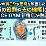 【必見】日々の肩こりや巻肩を改善したい方必見！前鋸筋の役割やその機能についてCAHNCE GYM 新宿店が徹底解説！