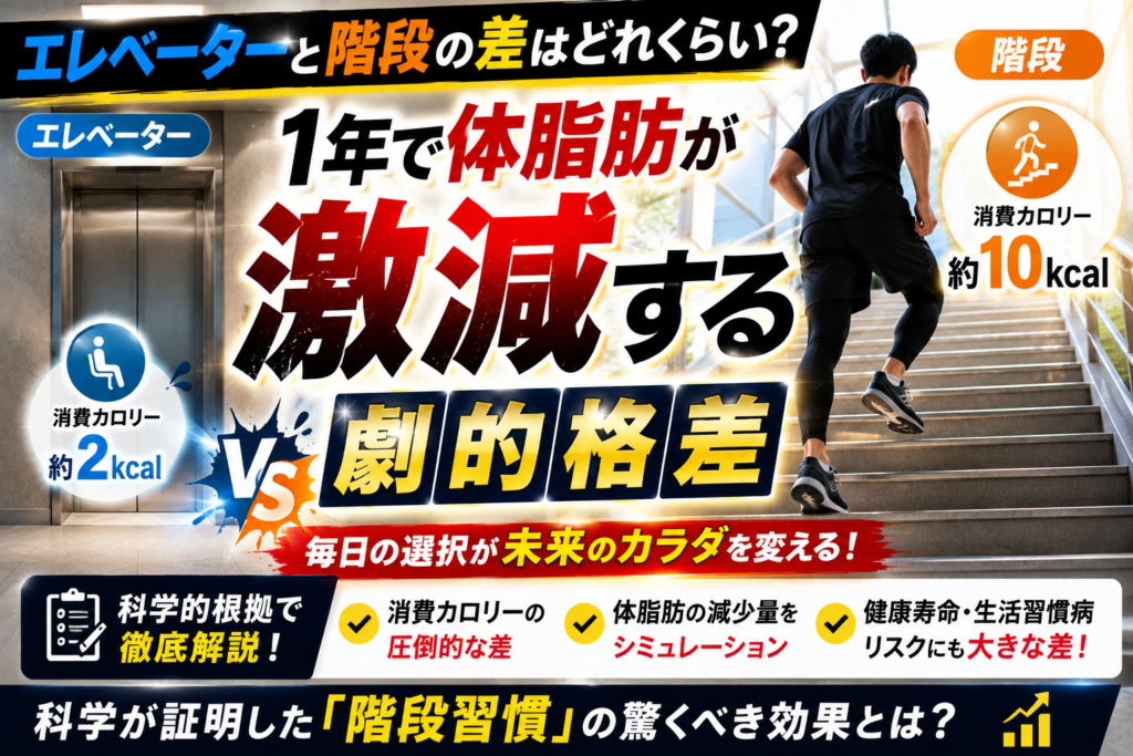 エレベーターと階段の差はどれくらい？1年で体脂肪が激減する劇的格差と科学的根拠