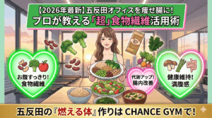 【2026年最新】五反田オフィスを痩せ腸に！プロが教える「超」食物繊維活用術で溜め込まない燃える体へ
