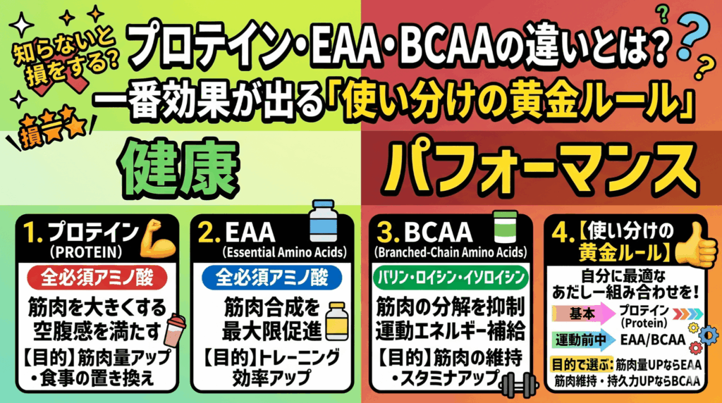 プロテイン・EAA・BCAAの違いとは？一番効果が出る「使い分けの黄金ルール」