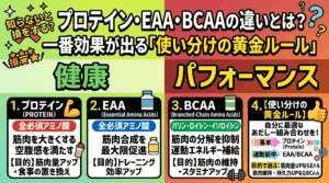 プロテイン・EAA・BCAAの違いとは？一番効果が出る「使い分けの黄金ルール」