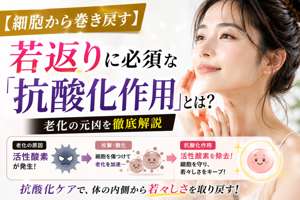 【細胞から巻き戻す】若返りに必須な「抗酸化作用」とは？老化の元凶を徹底解説