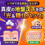 シワができる原因と生化学！真皮の地盤沈下を防ぐ「光＆糖化ハック」
