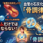 カルシウムだけでは骨は強くならない！血管の石灰化バグを防ぐ「骨調律」戦略