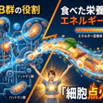 ビタミンB群の役割とは？食べた栄養を100%エネルギーに変える「細胞点火ハック」