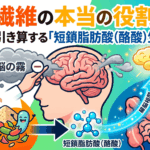 食物繊維の本当の役割とは？脳の霧を引き算する「短鎖脂肪酸（酪酸）生成」戦略