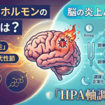 ストレスホルモンの役割とは？脳の炎上バグを防ぐ「HPA軸調律」戦略