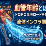 血管年齢とは何か？ドロドロの血液ロードを最速で洗う「流体インフラ調律」戦略