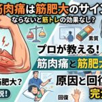 筋肉痛は筋肥大のサイン？ならないと筋トレの効果なし？原因と回復のコツをプロが解説