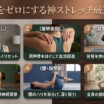 疲労をゼロにする神ストレッチ厳選5選